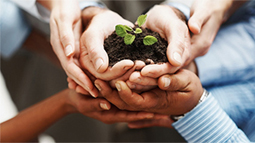 短信轰炸网页版